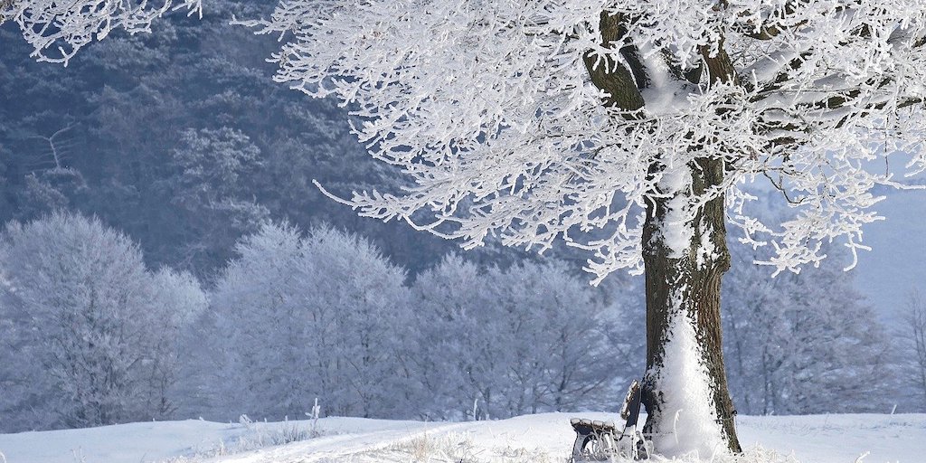Winterweer op komst Bekijk hier hoe koud het wordt Bestelmooiweer.nl