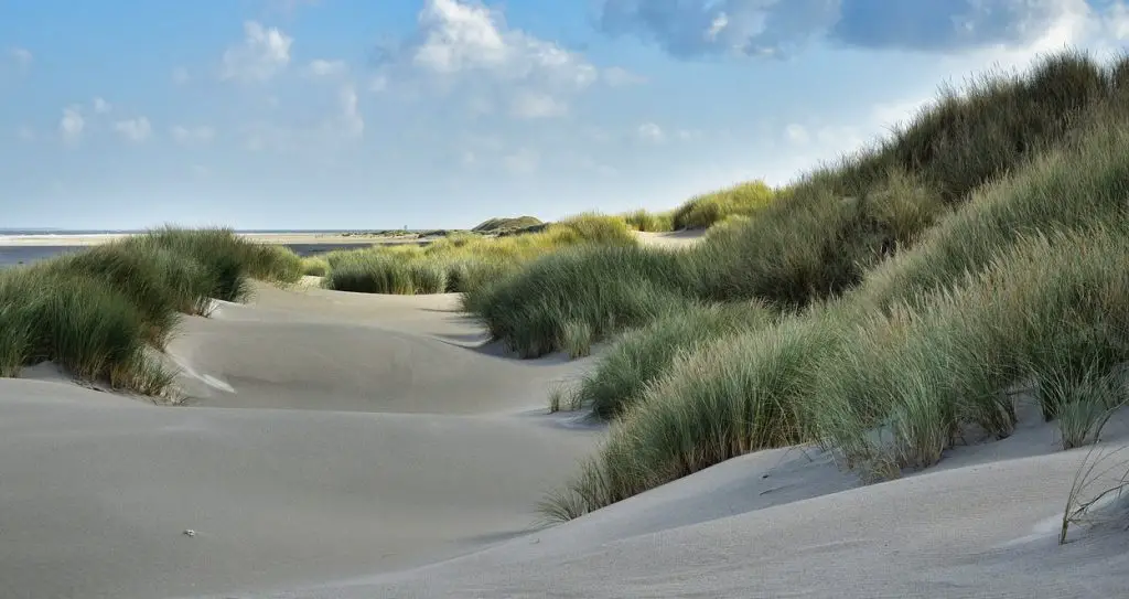 Weersverwachting juni 2025