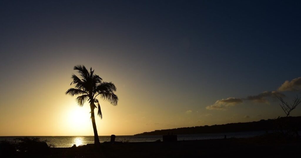 Caribisch gebied november: witte stranden en palmbomen