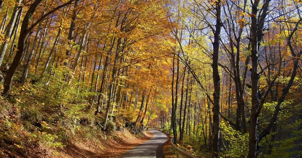 Herfstlandschap - weer oktober 2025