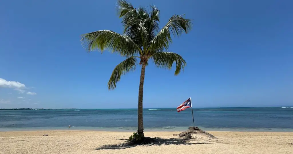 Winterzon Caribisch gebied - Strand met palmboom