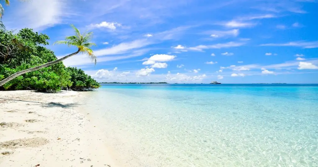 Zonvakantie januari Malediven – wit strand met palmbomen