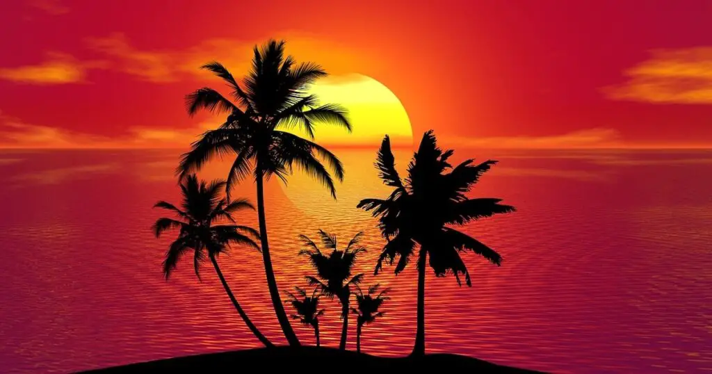 Waar is het warm in januari