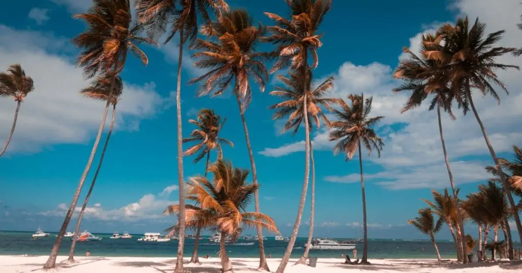 Dominicaanse Republiek in februari – luxe resorts en zon