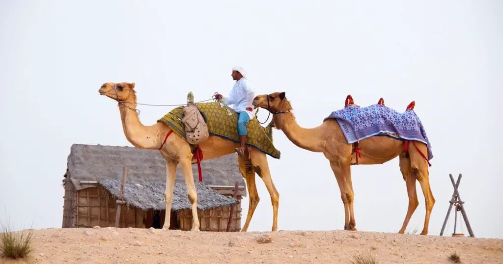 Dubai in februari – luxe, zon en moderne skyline